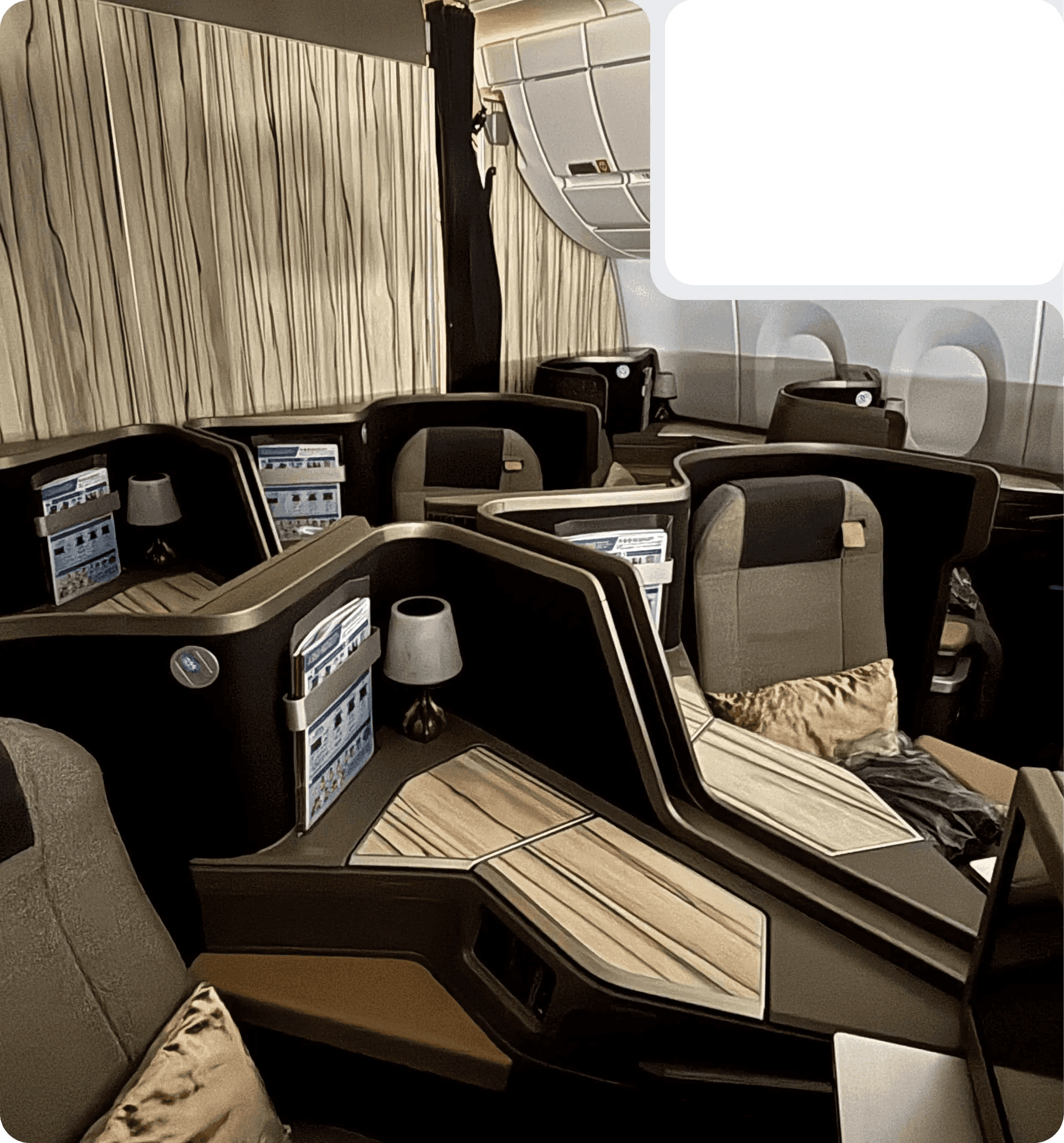 Gyoza Flights — business class cabin